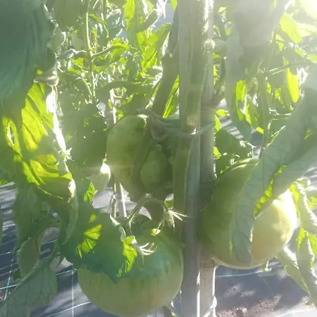 Charming Galician House * Lois (Pontevedra)