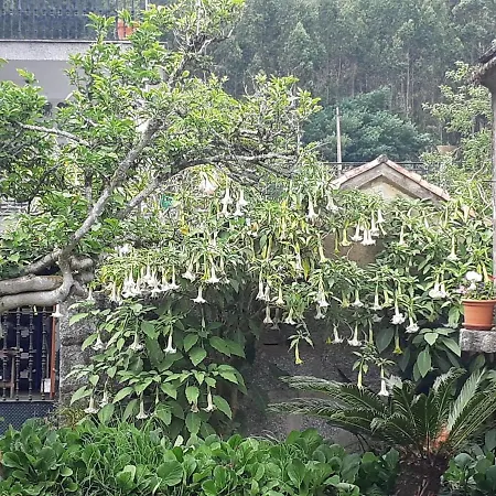 Charming Galician House * Lois (Pontevedra)