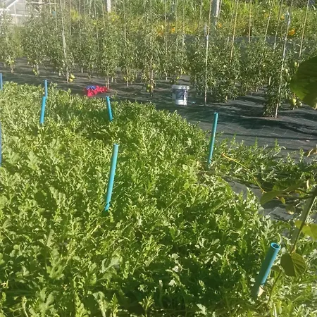 Charming Galician House