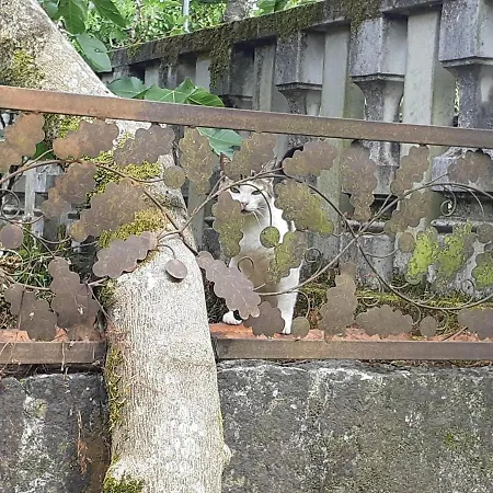 Charming Galician House Сasa de vacaciones