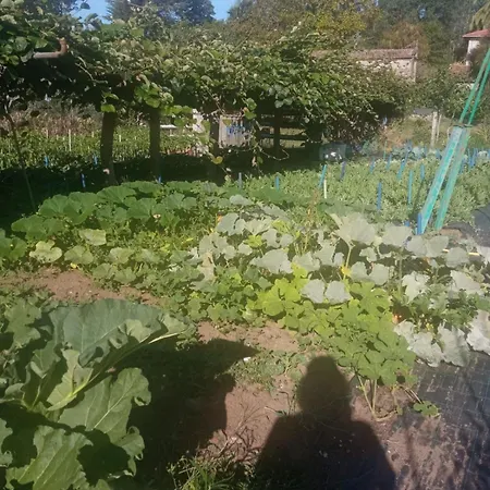 Charming Galician House Сasa de vacaciones Lois (Pontevedra)