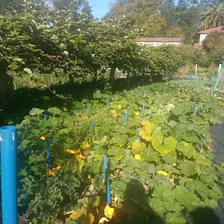 Charming Galician House * Lois (Pontevedra)